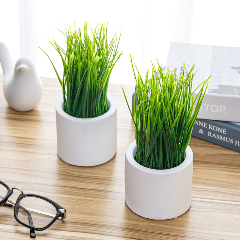 Set of 2 Faux Green Grass in White Cement Round Pots