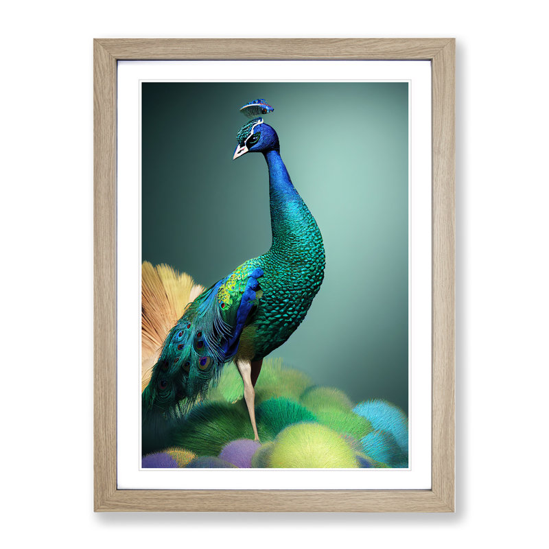 Amazing Peacock - Single Picture Frame Print, 64cm H x 46cm W x 2cm D, Oak Framed