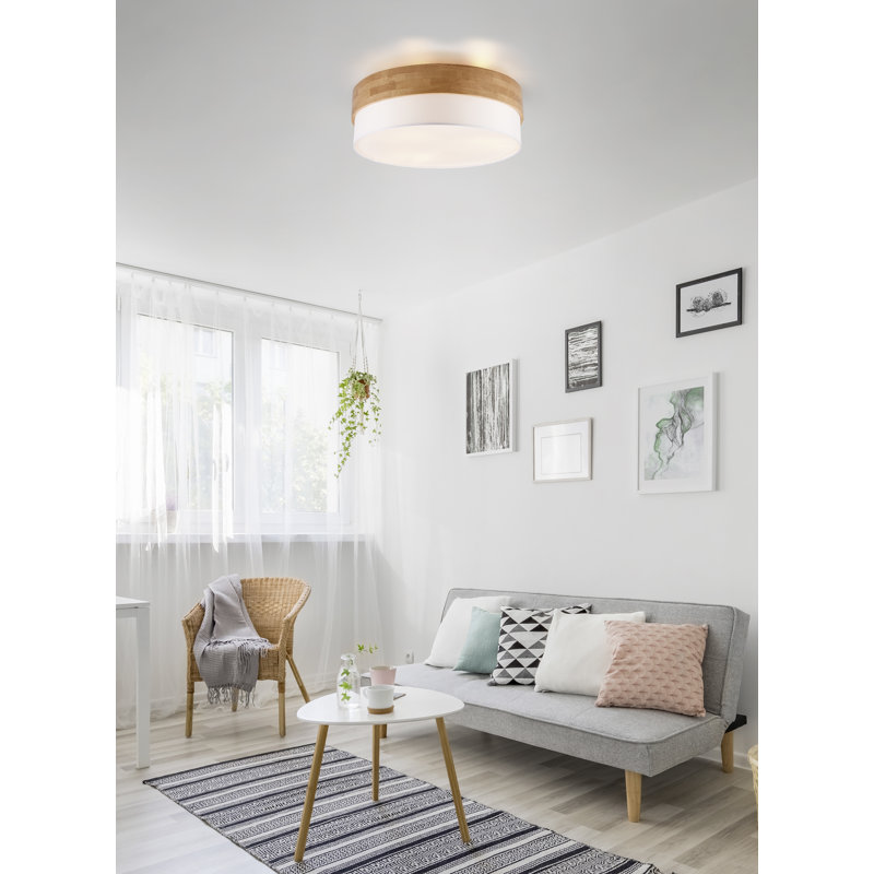 Rennan 3-Light 50cm LED Integrated Flush Mount, White