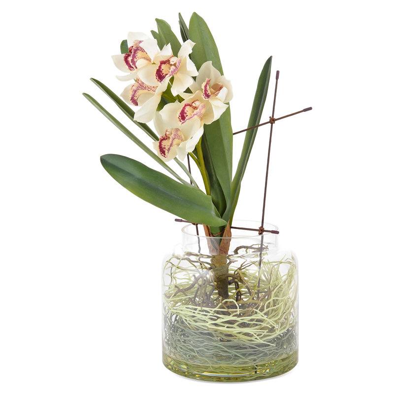Orchid Arrangement in Vase
