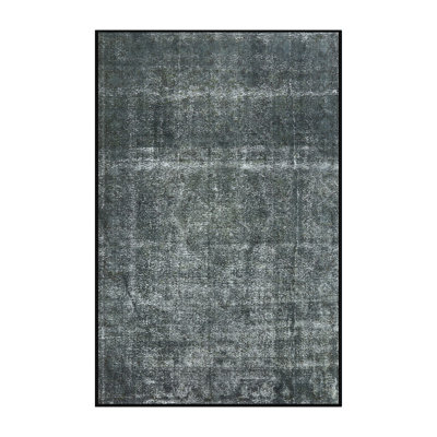 Oriental Indoor Rug