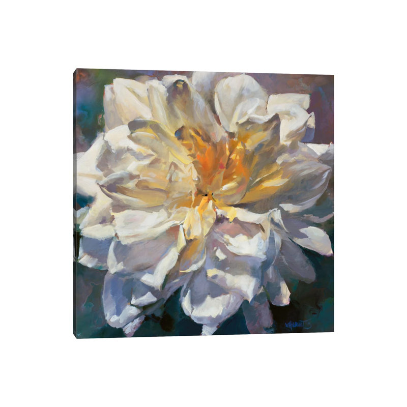 Flower II by Willem Haenraets - Wrapped Canvas Panoramic Painting, 93.98 cm H x 93.98 cm W x 1.91 cm D