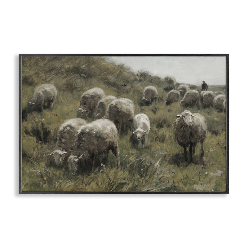 «Sheep at Pasture», art de la giclée encadrée par RileyB, Giclée encadrée noir minuit, H 12 po x l 18 po