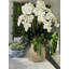 Orchid Floral Arrangement in Pot-1287593593