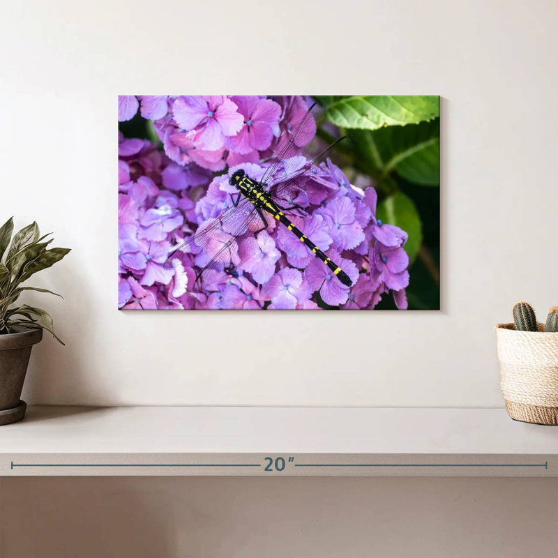Libellule Brampt sur hortensias, H 8 po x l 12 po