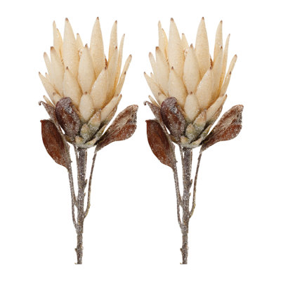 Protea Flower Stem (Set of 2)
