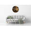 Jlyn Glass Wall Clock