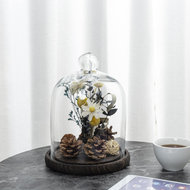 Bocaux cloche décoratifs en verre 7 "avec base en bois Addysin
