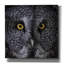 «Great Grey Owl» par Nathan Larson, art mural sur toile-413729613