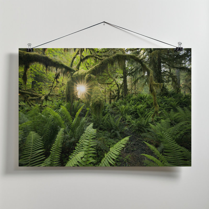 Wrapped Canvas Print, 60.96 cm H x 91.44 cm W