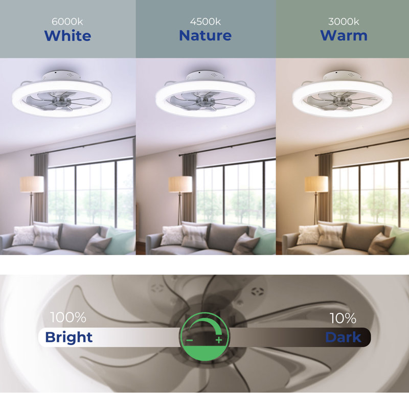 20.5'' Ceiling Fan with LED Lights