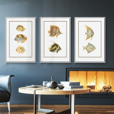 Ensemble de 3 pièces de poissons tropicaux antiques I encadrés sur toile