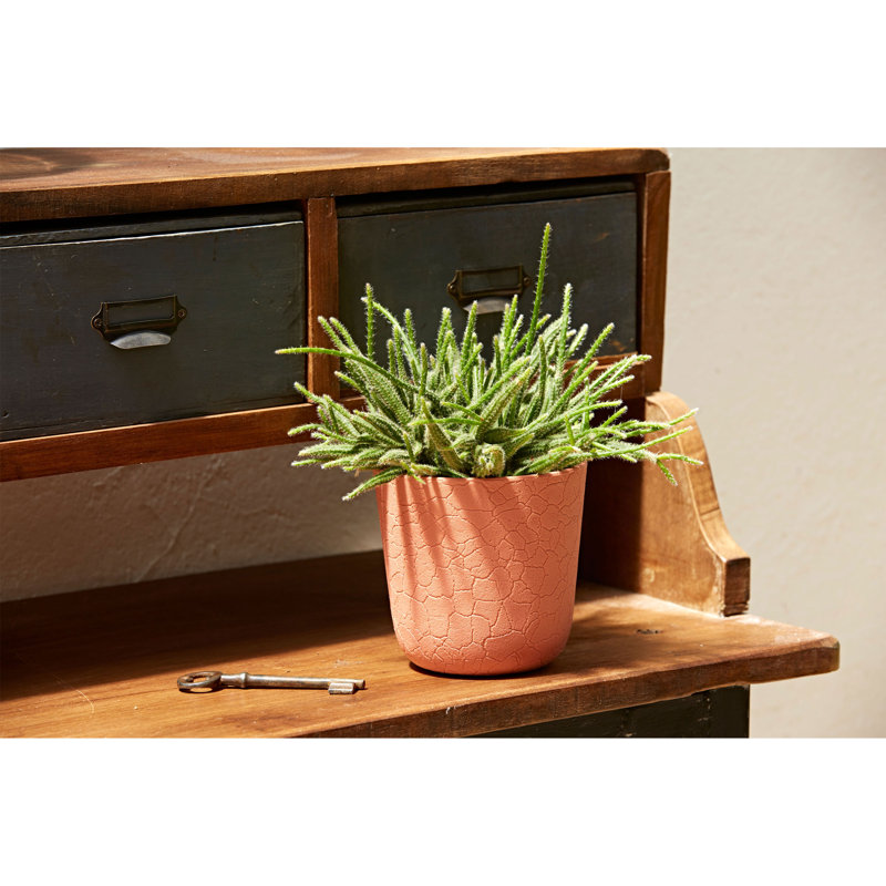 Planter, Multi-coloured