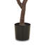 Faux Fiddle Leaf Tree-Faux Fiddle Leaf Tree-9'-1085074898