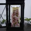 Bougie en fibre optique Hummingbirds