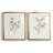 Single Sprig I Single Sprig I - Matted and Framed Under Glass, Set of 2, Large Living Room Wall Art