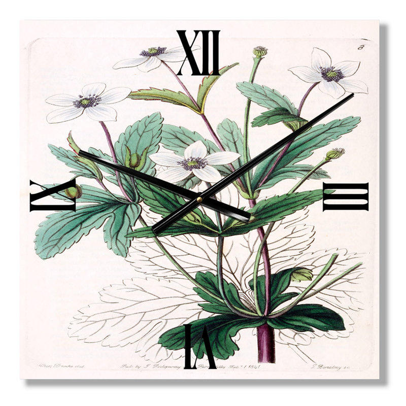 Vintage Plant Life XXI - Horloge murale traditionnelle, Petit