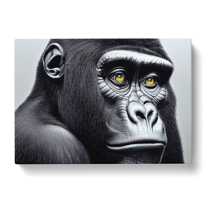 Astonishing Gorilla - Wrapped Canvas, 35cm H x 50cm W x 3cm D