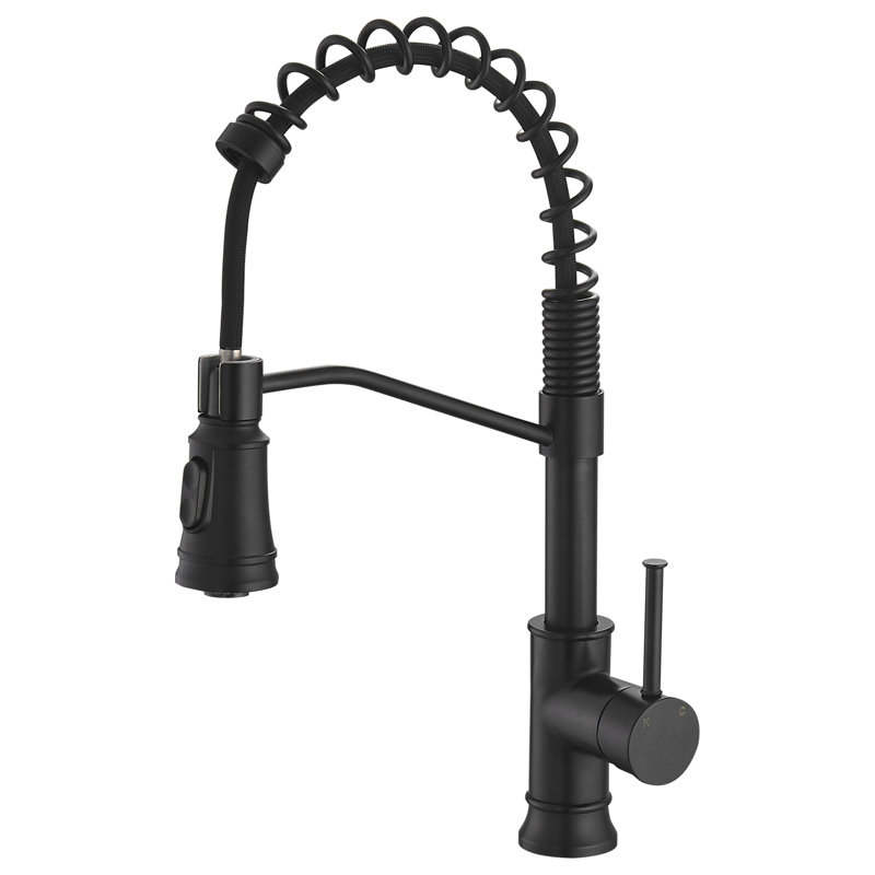 Robinet de cuisine en acier inoxydable noir avec douchette extractible, poignée simple, pour évier de cuisine | Idée de cadeau