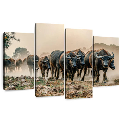 Bramal Buffalos en mouvement