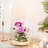 2 Pack Clear Glass Dome Cloche, 6 Inch Decorative Display Bell Jar With Wooden Base, DIY Snow Globes Case Keepsake Showcase For Flower