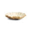 Anemone Catch All Decorative Plate