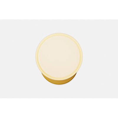 Marea Wall Sconce
