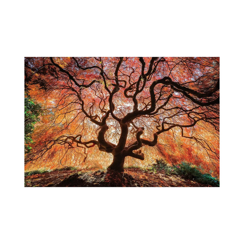 Tentacles and Sun, Seattle, Washington III 1 Piece Wall Art on Canvas, 101.6 cm H x 66.04 cm W x 1.91 cm D, Wrapped Canvas