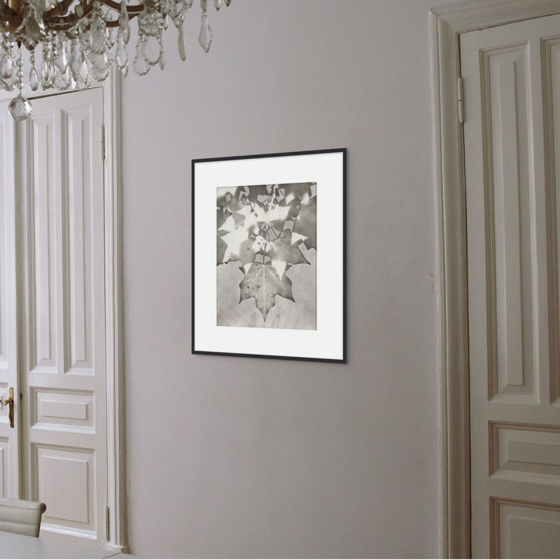 Lucent Botanicals 8 Print by Darrell Kincer, 28.5" H x 25.5" W