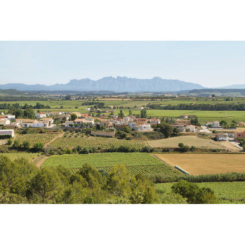 Oceguera Vineyards with Montserrat Peaks 1 Piece Wrapped Canvas Wall Art, 30cm H x 46cm W x 3.8cm D