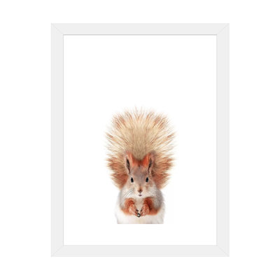 «Baby Squirrel» par Sissi & Seb - impression d'art graphique
