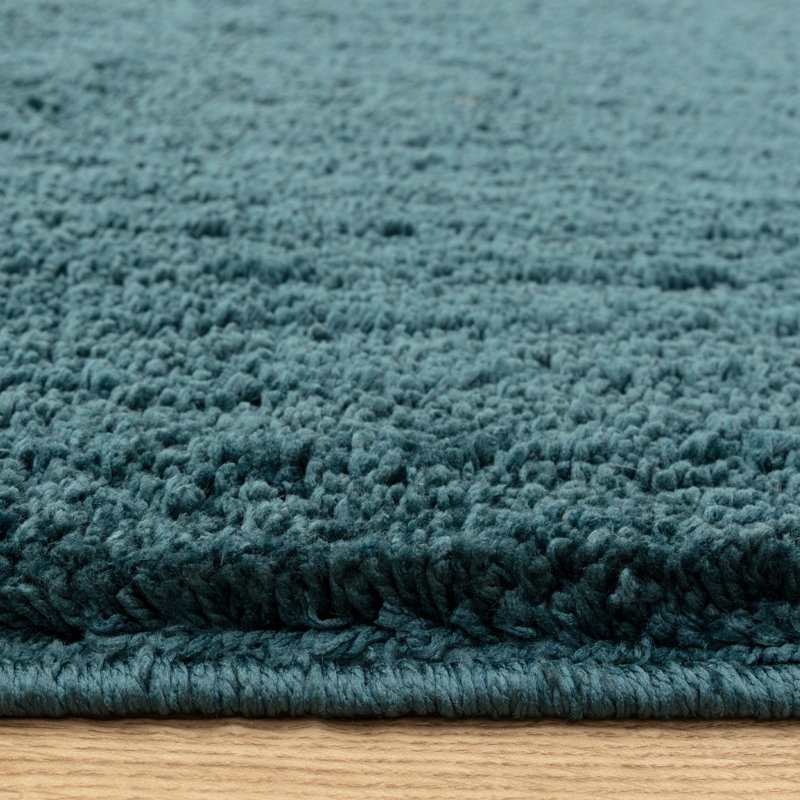 Ronalee Recycled P.E.T Machine Tufted Shag Area Rug, Rectangle 67 x 130 cm, Teal