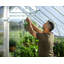 Greenhouse-96230557-96230559