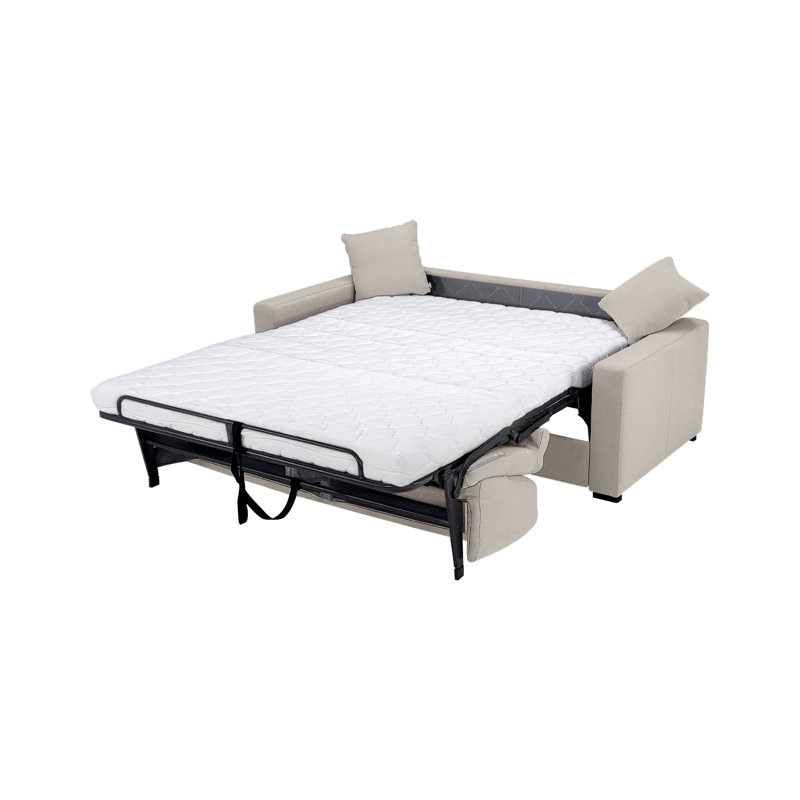 Björgúlfur 81" Italian Stain and Abrasion Resistant Performance Fabric Queen Pull Out Sleeper Sofa Bed