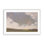 «Sky's Affection» par Carol Strock Wasson, impression sur papier