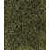 Tyronn Performance Indoor Rug