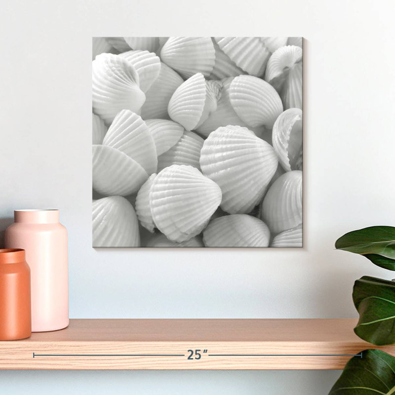 Aletra White Shells, 16" H x 16" W