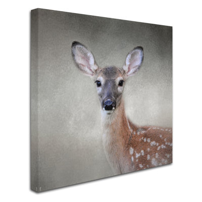 «Little Miss Lash White Tailed Fawn», reproduction d'art graphique sur toile tendue Vidur