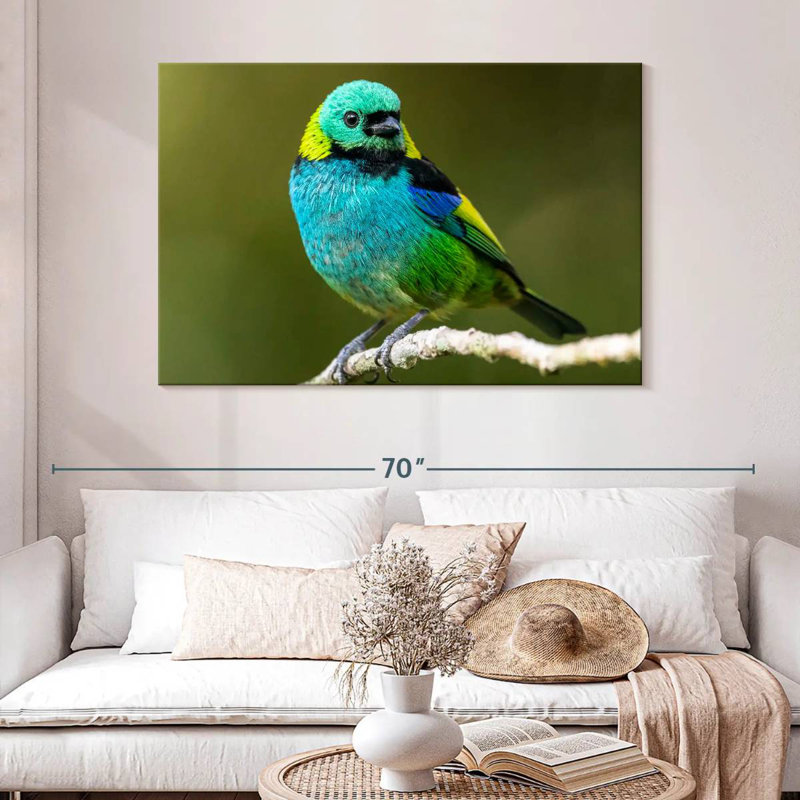 Brampt Green Headed Tanager, 32" H x 48" W