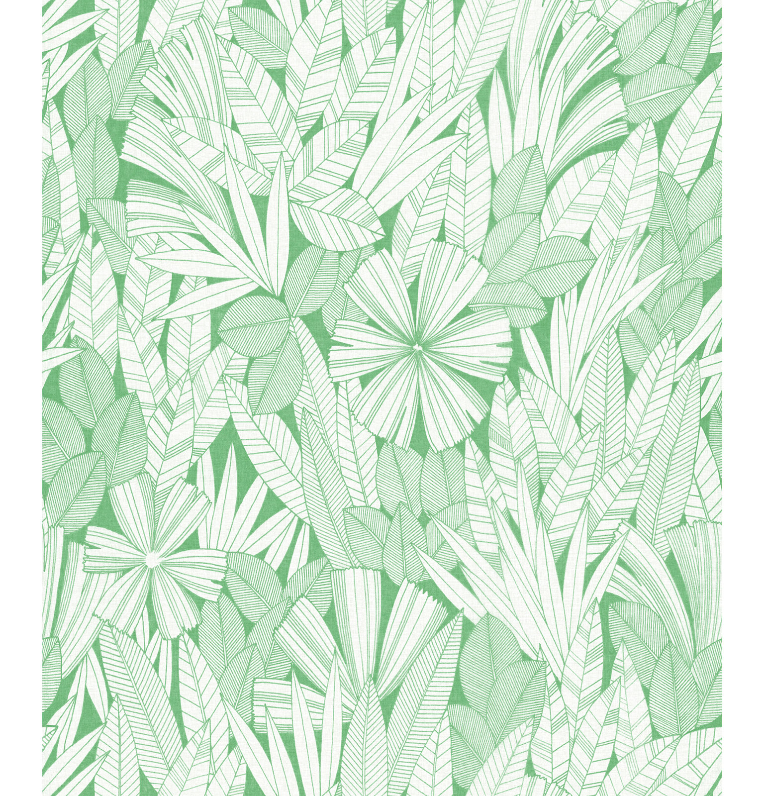 Avellana Botanical Wallpaper, Green