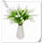 Orchid Arrangement
