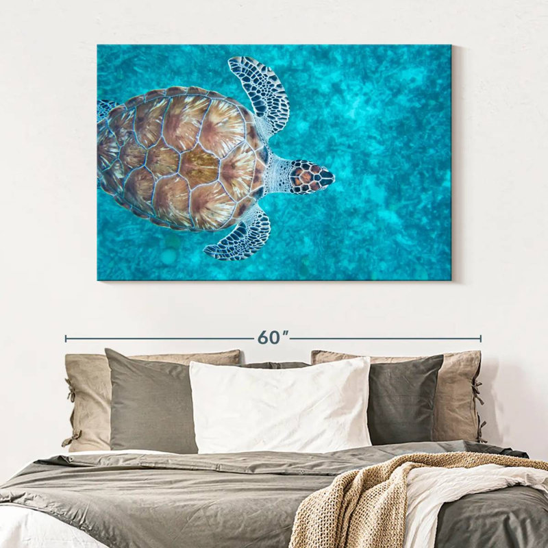 Swimming Hawksbill Sea Turtle, 34" H x 51" W