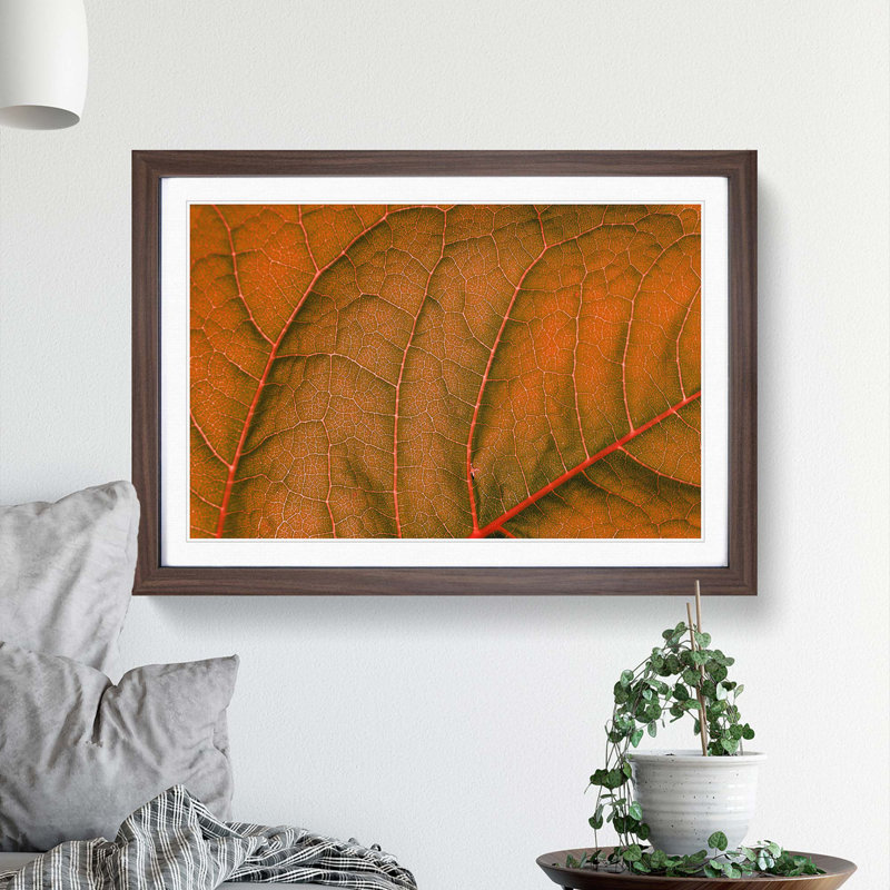 Leaf Veins - Picture Frame Photograph Print, Walnut Framed, 36cm H x 48cm W x 2cm D