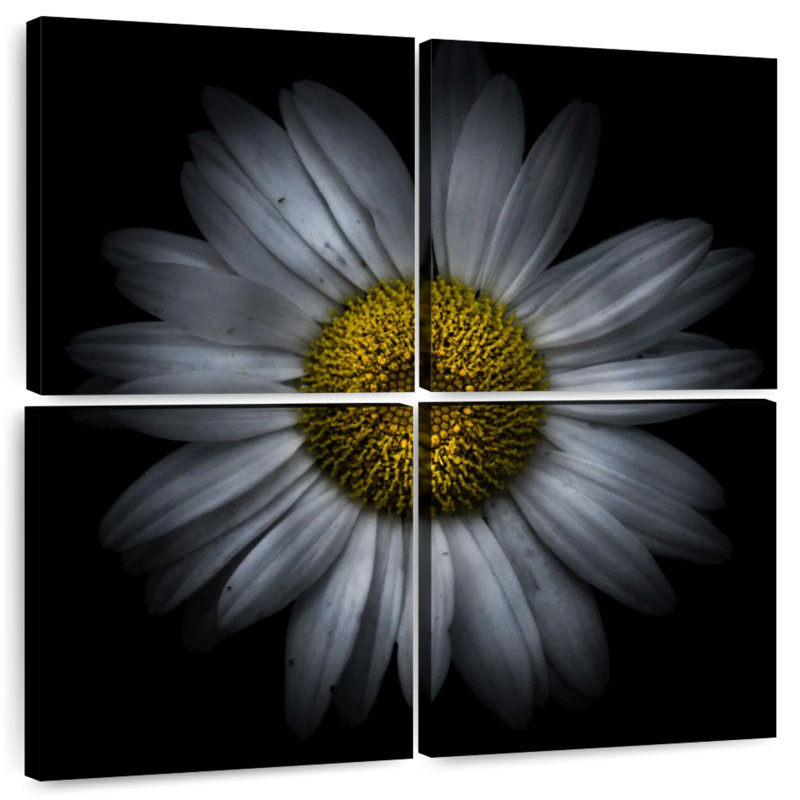 Fleurs Harnek Backyard, H 38 po x l 38 po