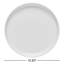Pacifica Stoneware Dinner Plate
