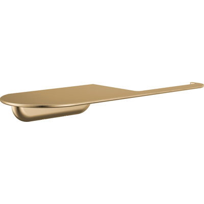 Delta Bonacci Pivoting Toilet Paper Holder with Shelf, Bathroom Accessory, Champagne Bronze