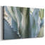 «Blue Agave II», toile tendue avec châssis-399440846