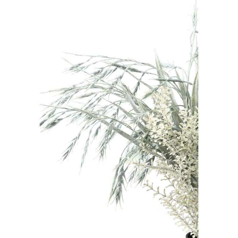 Tarwe 50cm Plant