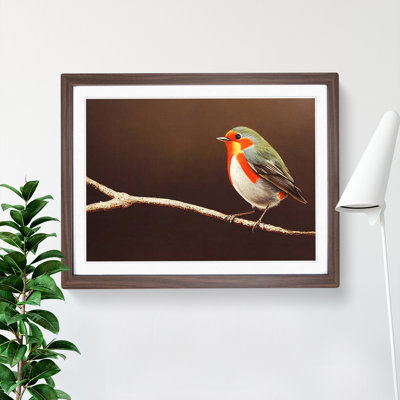 Dramatic Robin Bird - Single Picture Frame Print