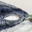 Housses de coussin en fausse fourrure-126135134-126135138